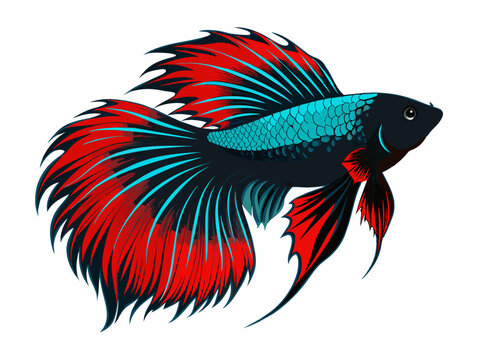 recommend clip art: Betta fish vector illustration  isolated on white  background 