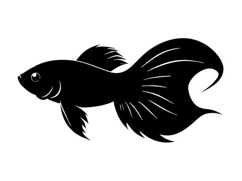 recommend clip art: Betta fish silhouette vector illustration 