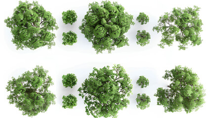 set of Mugworts,Salix purpurea,Myrtle trees rendered from the top view, isolated on white background