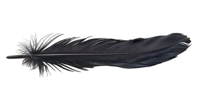 black feather isolated on transparent background