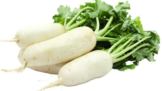 daikon radishes isolated on transparent background