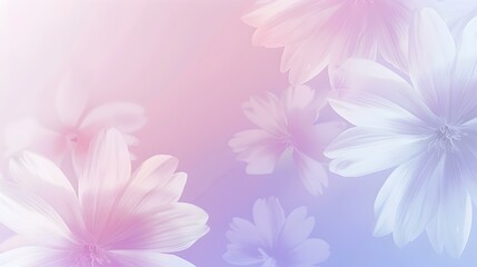 Fototapeta premium Gradient of a light to Anemone banner