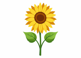 Sunflower vector silhouette illustration 