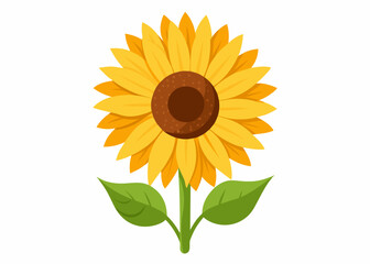 Sunflower vector illustration 