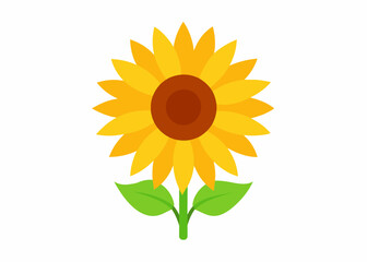 Sunflower vector illustration 