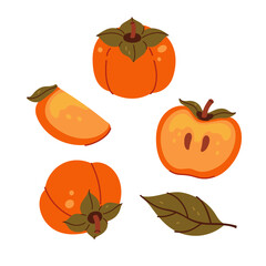 Set of persimmons and parts isolate on a white background. Vector graphics.
