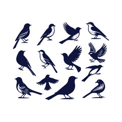 Fototapeta premium bird silhouette Clip art isolated vector illustration on white background