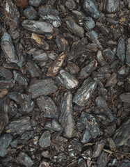 Landscape design. Texture. Background natural from wood recycled mulch. Close-up of wood chips from...