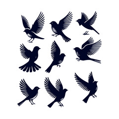 bird silhouette Clip art isolated vector illustration on white background