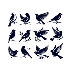 bird silhouette Clip art isolated vector illustration on white background