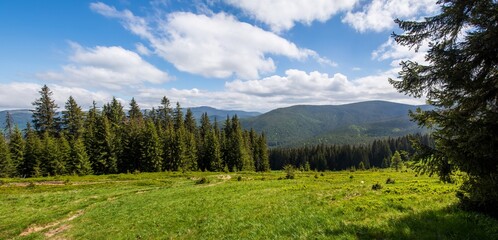 Fabulous and mysterious path in the forest. Location place of Carpathians mountain, Ukraine, Europe.