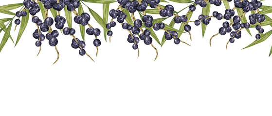 Acai berries superfood on the branches and palm leaves seamless border. Exotic purple tropical berry clipart. Watercolor illustration for packaging of cosmetics, granola, smoothie, supplements, labels