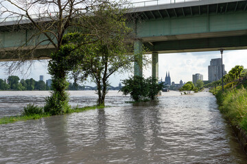 Überflutetes Rheinufer bei Köln, aufgenommen under der Zoobrücke, im Hintergrund der Kölner Dom