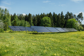 array of solar panels in green grass field in sunny day