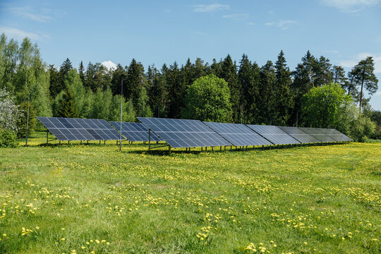 array of solar panels in green grass field in sunny day