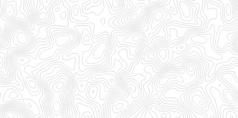 White wave paper curved reliefs abstract background. The topographic map contour in lines isolated. Abstract white topographic map background with lines. Background of the topography map.