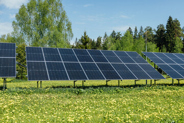 array of solar panels in green grass field in sunny day