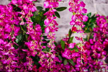 A hanging arrangement of pink-purple flowers on a vine with a textured background, evoking a garden feel.