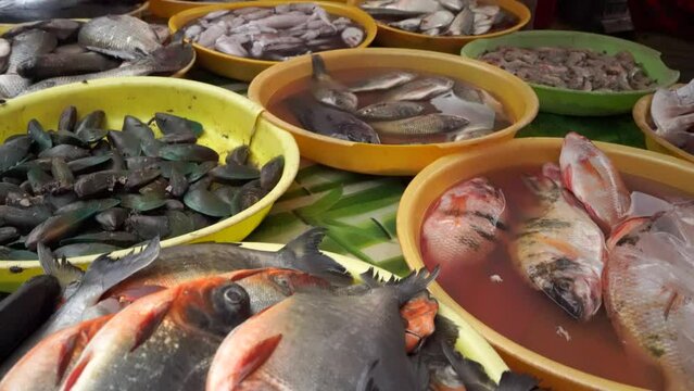 Colorful choice of fish at a market. Various fresh fish and seafood. Top down view on multiple rows of various raw freshly caught fish on ice for sale in Kudus, Central Java, Indonesia.