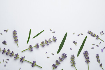 Sprigs of lavender on a white background. Top view, flat lay. Space for text. 