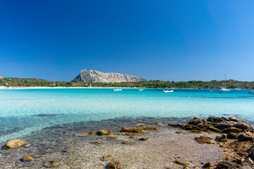 The splendid beach of Cala Brandinchi, with white sand and emerald blue sea, behind the beach a...