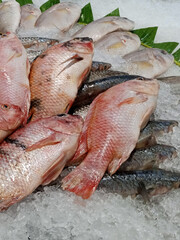fresh fish on the market. Fresh seafood, raw fish on ice cubes and banana leave on open Display Freezers Chiller.
various fresh raw fish on display in an open chiller showcase.