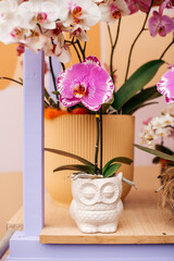 still life with flowers