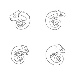 Chameleon line logo icon design vector illustration
