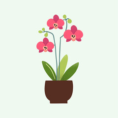 lllustration with popular house plant orchid. Natural green home decor. Flat vector illustration isolated on white background