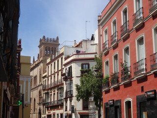 Calle cerca de la alameda de h&eacute;rcules en Sevilla