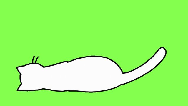 尻尾で返事をする猫（グリーンバック）
