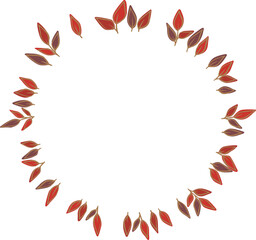 Abstract red autumn leaves wreath illustration for decoration on nature , Autumn seasonal and Thanksgiving festival.