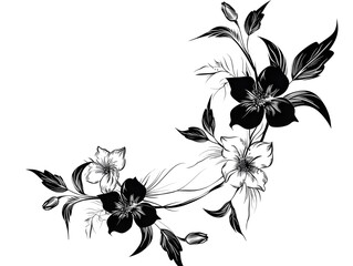 black and white floral background