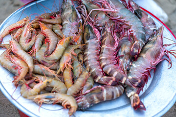 Fresh shrimps seafood are sold at the seafood market in central Vietnam