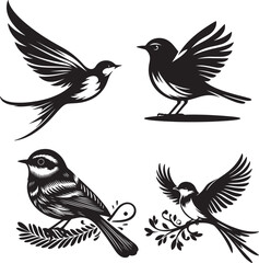 Obraz premium Collection of bird silhouette