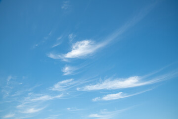初夏の空