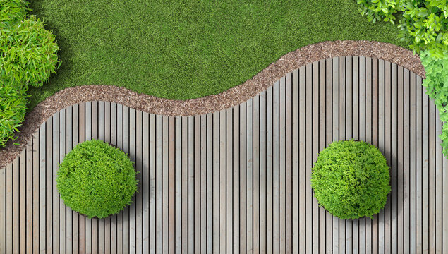 Modern garden design in aerial view with larch wood terrace and boxwood balls