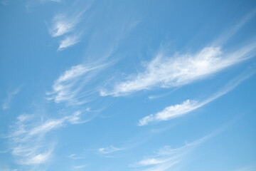 初夏の空