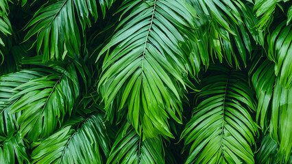 Tropical fantasy colorful leave background design