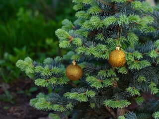Two yellow Christmas ornaments hanging on the Christmas tree.
