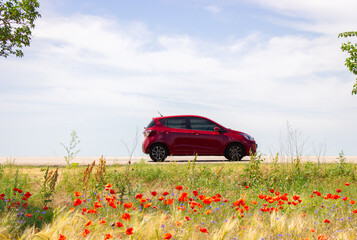 Red car on the poppy and wheat field foreground. Summertime travel. Travel in Ukraine. Scenery...