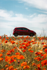 Red car on the poppy and wheat field foreground. Summertime travel. Travel in Ukraine. Scenery summer landscape with red car on background. Adventure in idyllic countryside. Poppy meadow and auto.  © Nataliia