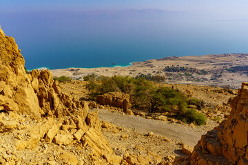 Ein Gedi Nature Reserve, with the Dead Sea