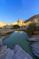 Zohar stronghold, and winter puddle, Judaean Desert