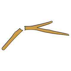 broken twig illustration hand drawn isolated vector	
