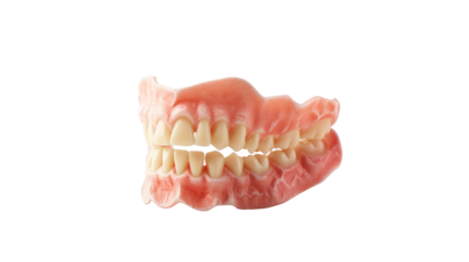 denture isolated on transparent background