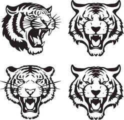 Collection Of Four Engravings With Tiger Head