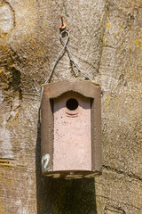 Vogelhaus aus Holz an einem Baumstamm hängend , Deutschland