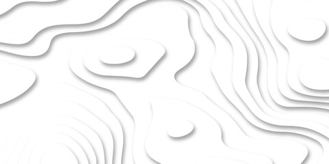 Abstract white paper cut background with line. 3d topography relief. Vector topographic illustration. realistic papercut decoration textured with wavy layer and shadow. seamless pattern wave design.