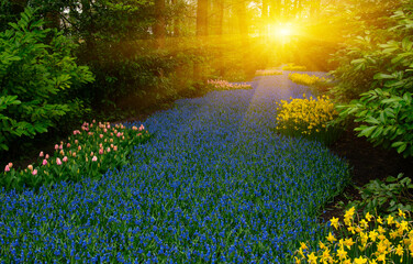 Naklejka premium Beautiful spring flowers in park